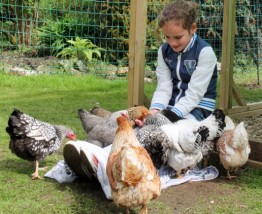 How to Keep Your Kids Entertained Whilst on Holiday in Devon